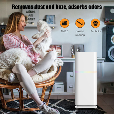Good price منظف الغبار في الغرف المنزلية معزز للطاقة 240 فولت لـ PM25 الانترنت