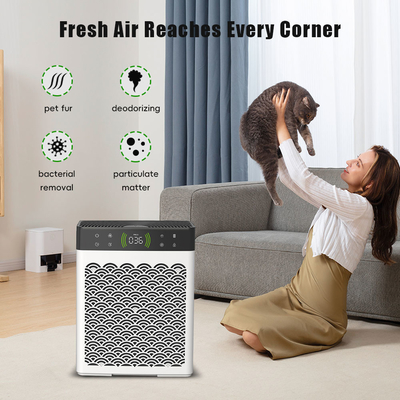 Good price جهاز إزالة الرطوبة للداخل ومطهر الهواء الانترنت